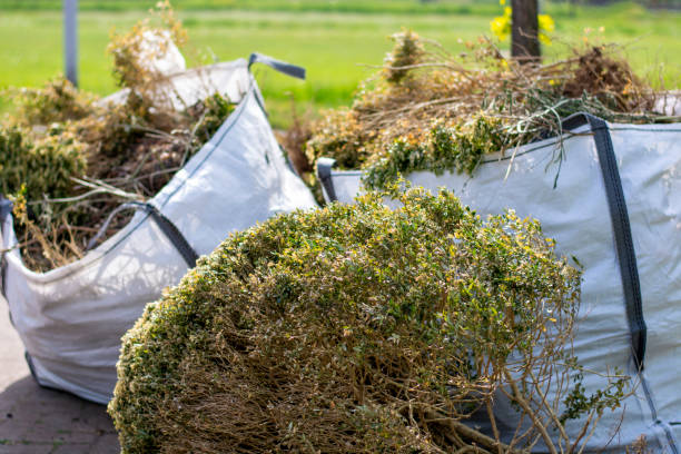 Best Same-Day Junk Removal Services  in Nneconne, WI
